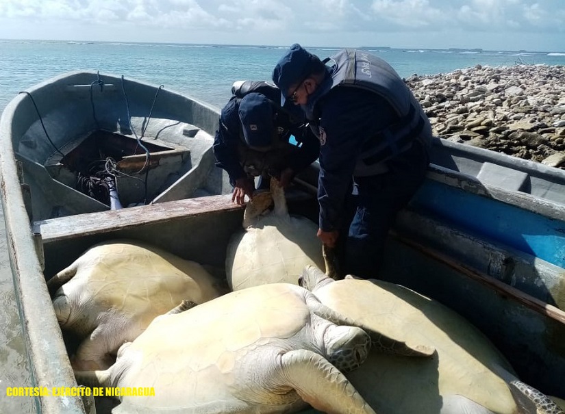 inpesca